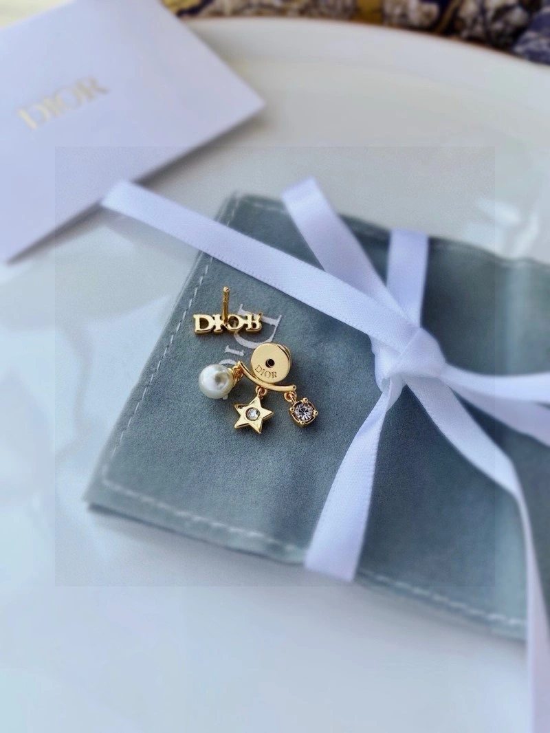 SmoothTexture Christian Dior Earrings 232664