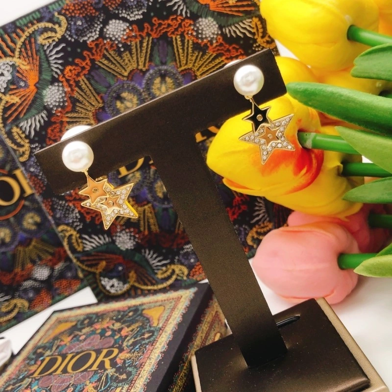 Comfortable Christian Dior Earrings 232678