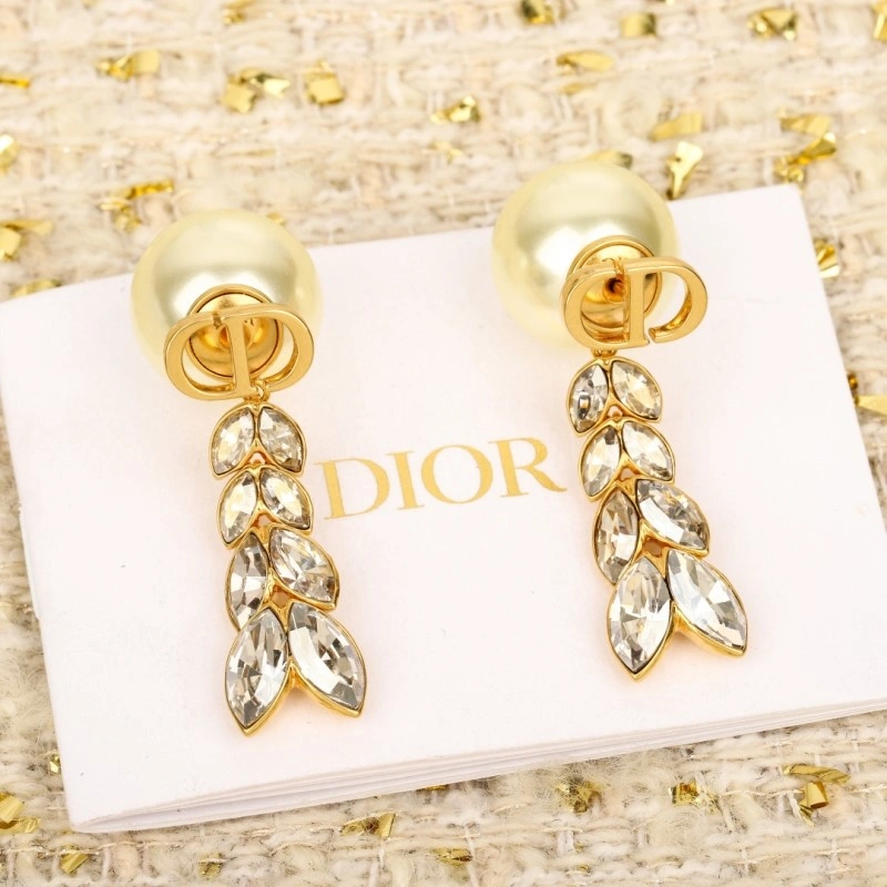 Snug Christian Dior Earrings 232685