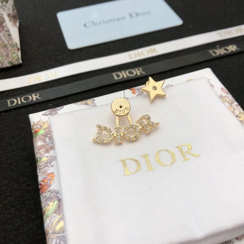 Christian Dior Earrings FastDry 232658