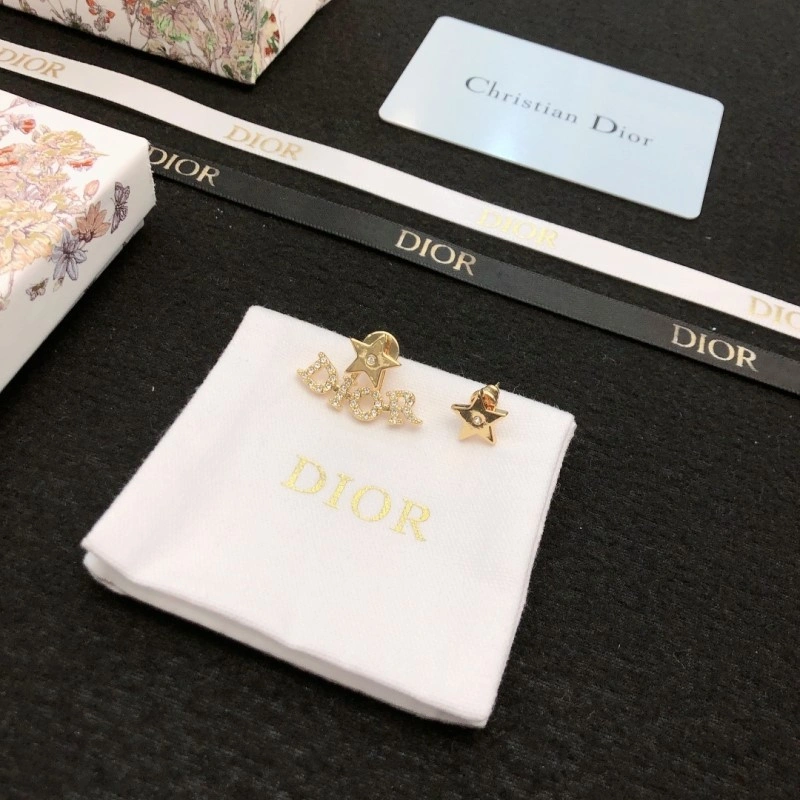 Christian Dior Earrings FastDry 232658