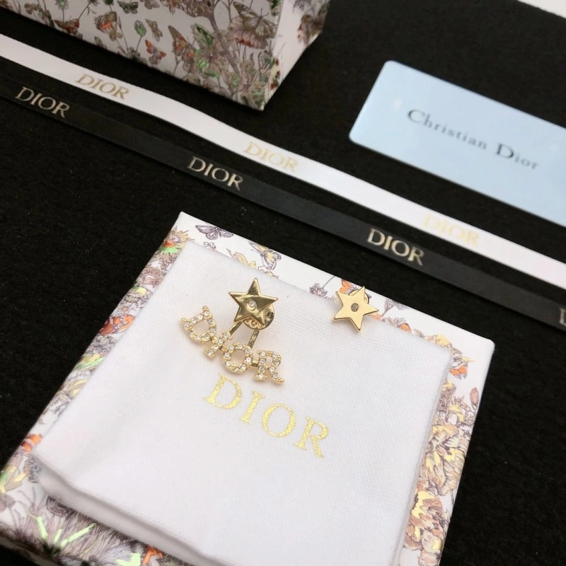 Christian Dior Earrings FastDry 232658