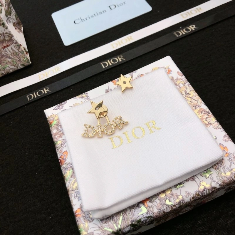 Christian Dior Earrings FastDry 232658