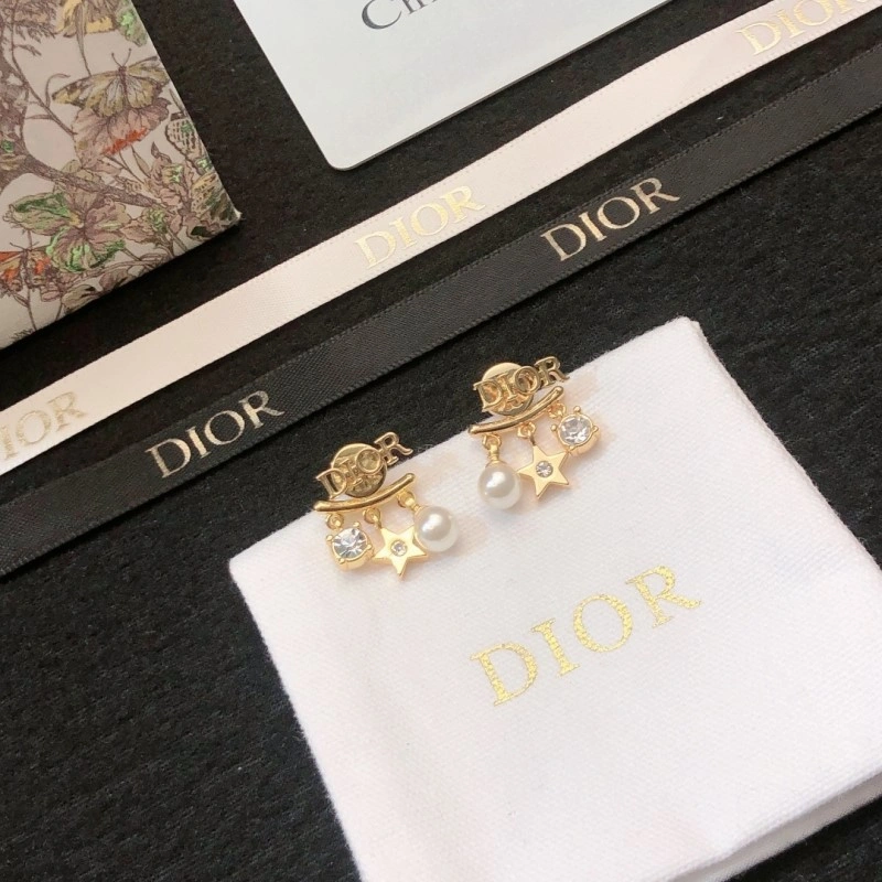 Sleek Christian Dior Earrings 232640