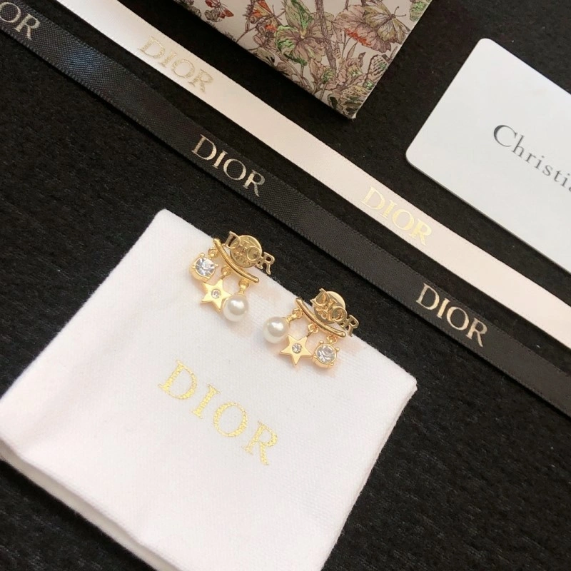 Sleek Christian Dior Earrings 232640