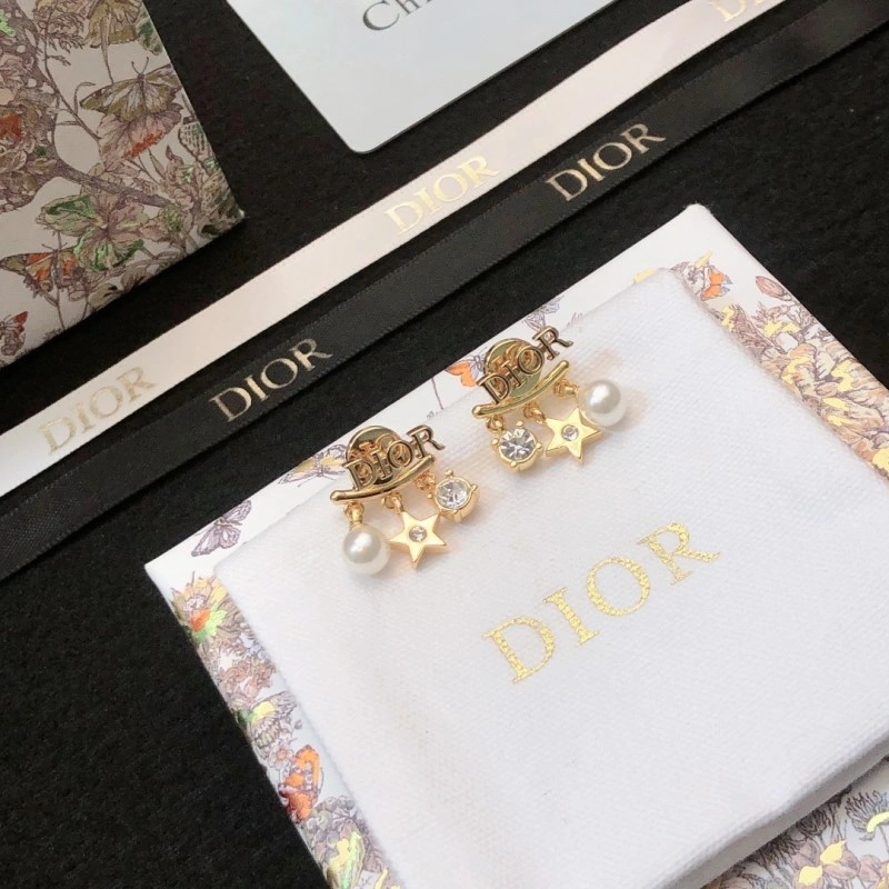 Sleek Christian Dior Earrings 232640