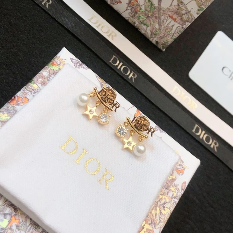 Sleek Christian Dior Earrings 232640
