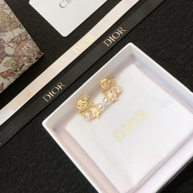 Sleek Christian Dior Earrings 232640