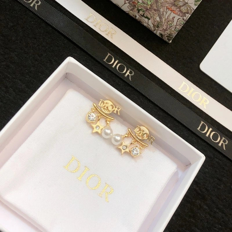 Sleek Christian Dior Earrings 232640
