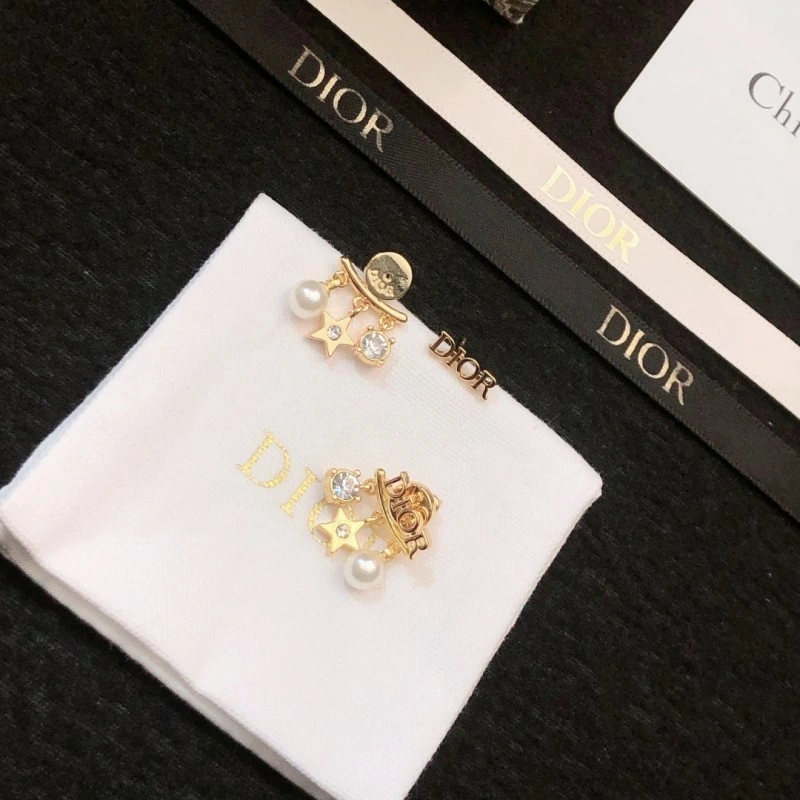 Sleek Christian Dior Earrings 232640