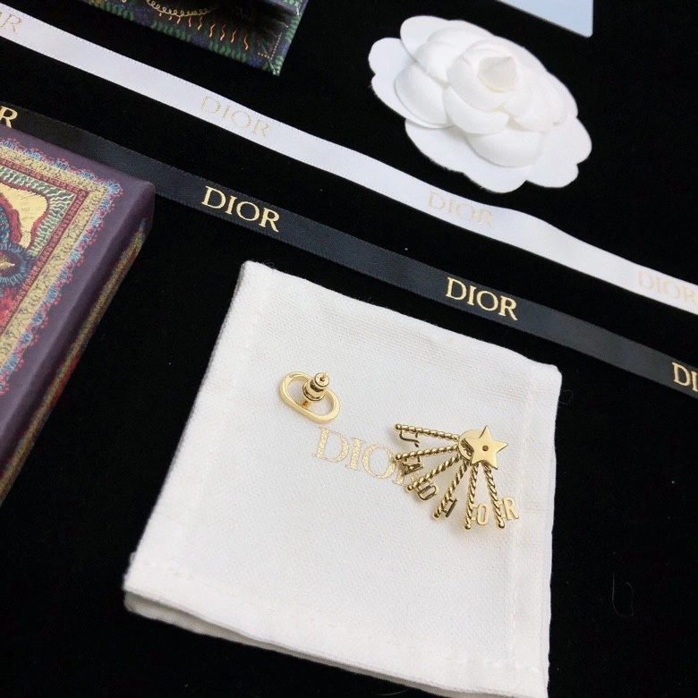 OdorResistant Christian Dior Earrings 232631