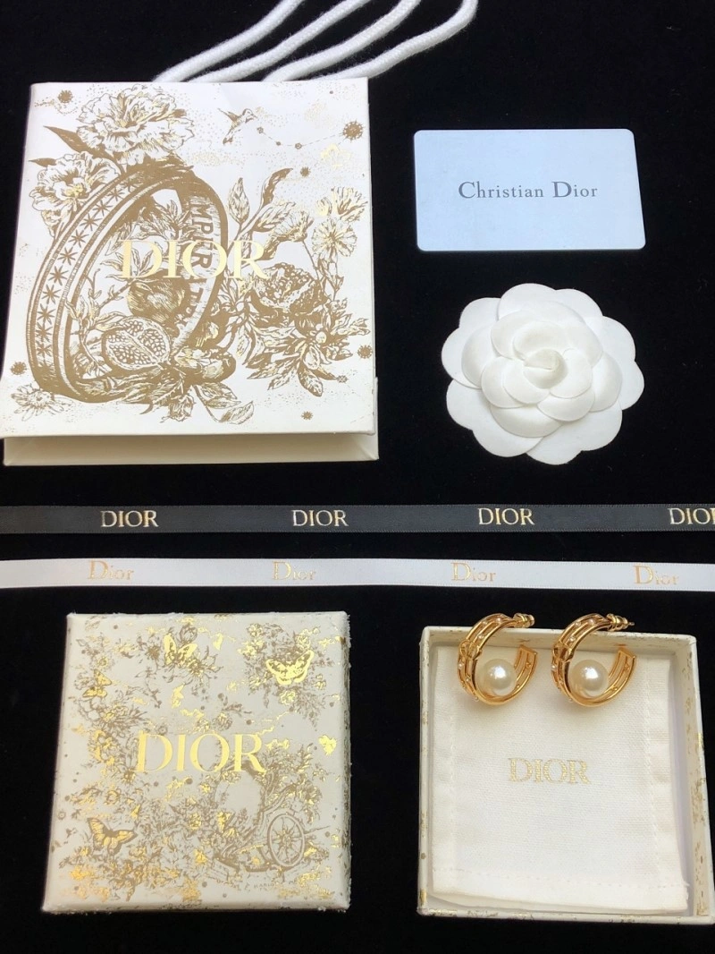 SmoothTexture Christian Dior Earrings 232688