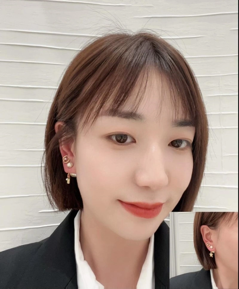 Supportive Christian Dior Earrings 232651