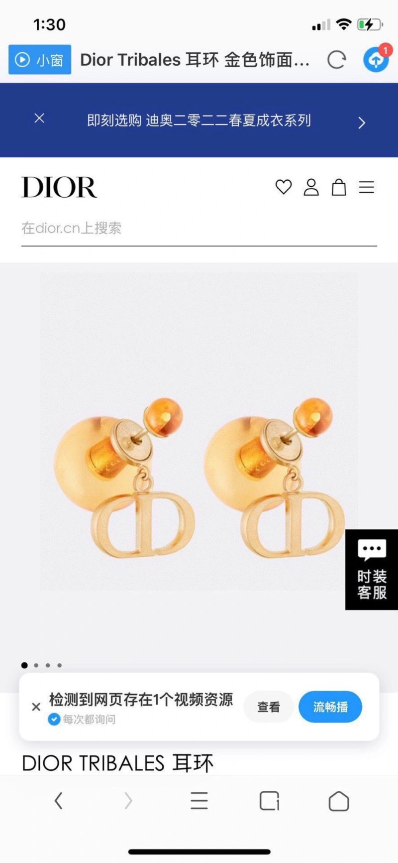 AllSeason Christian Dior Earrings 232643