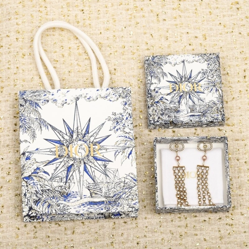 Christian Dior Earrings Stylish 232695