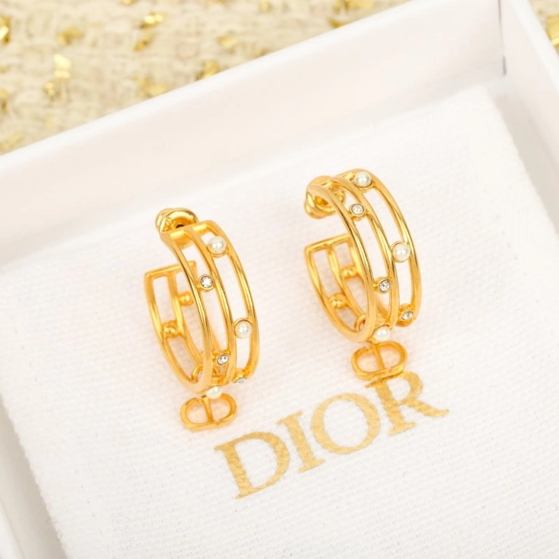 Comfortable Christian Dior Earrings 232669