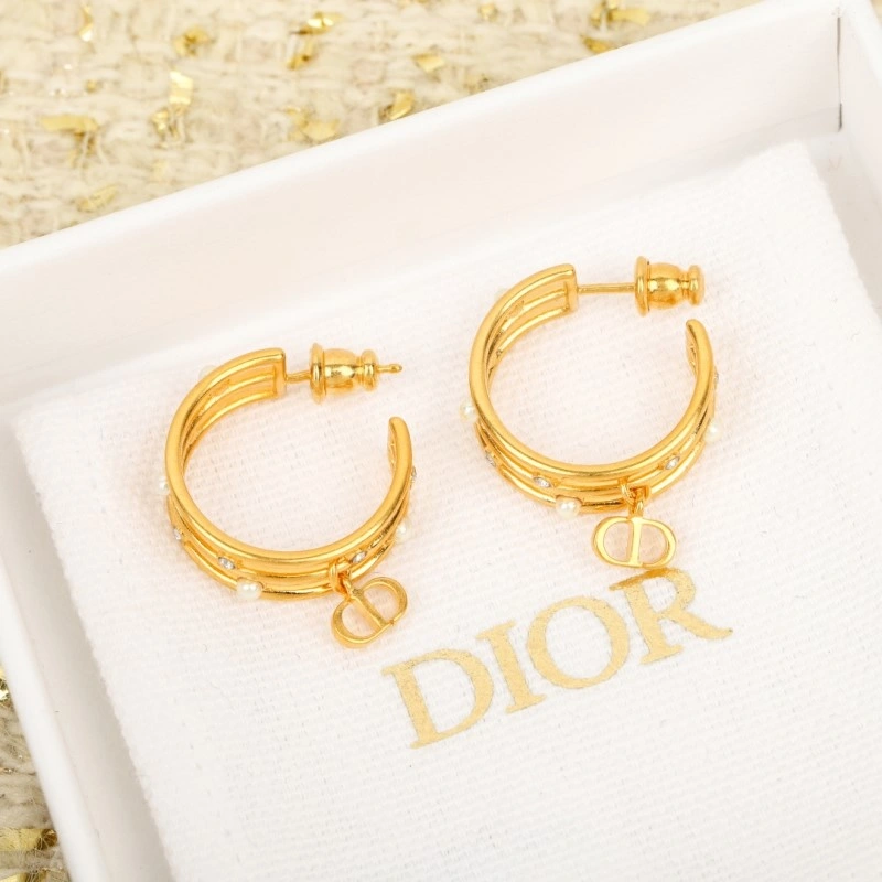 Comfortable Christian Dior Earrings 232669