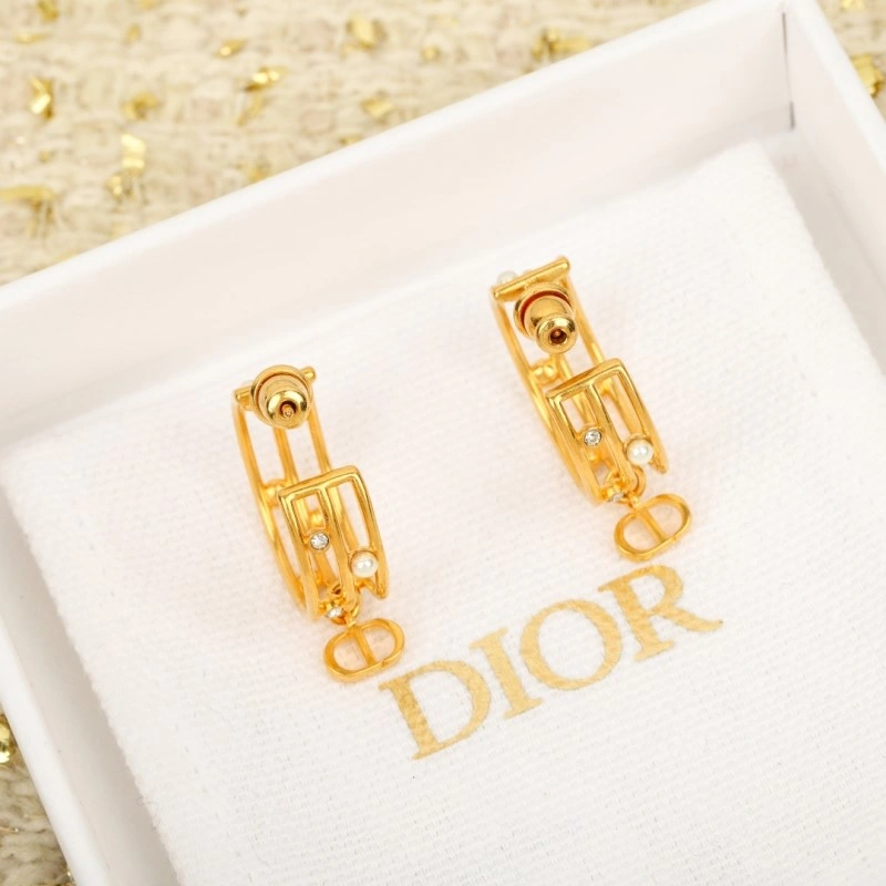 Comfortable Christian Dior Earrings 232669
