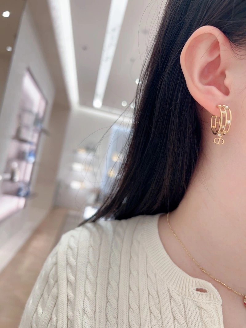 Comfortable Christian Dior Earrings 232669