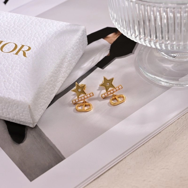 Christian Dior Earrings FastDry 232611