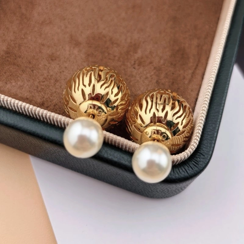 Attractive Christian Dior Earrings 232603