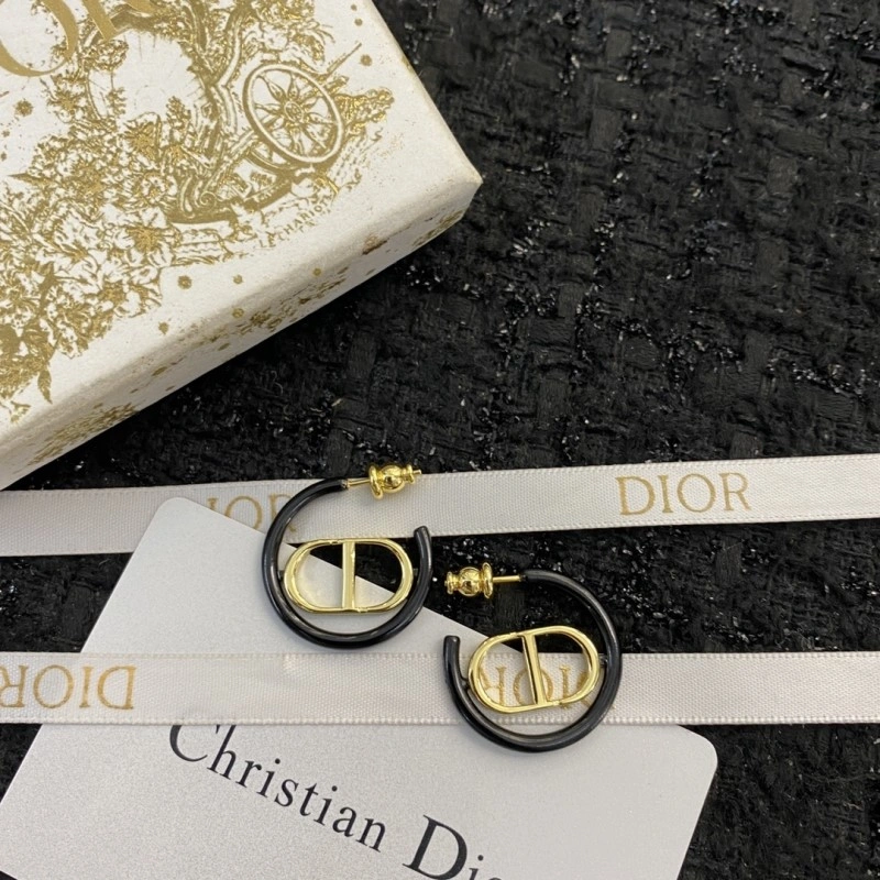 Classic Christian Dior Earrings 232601