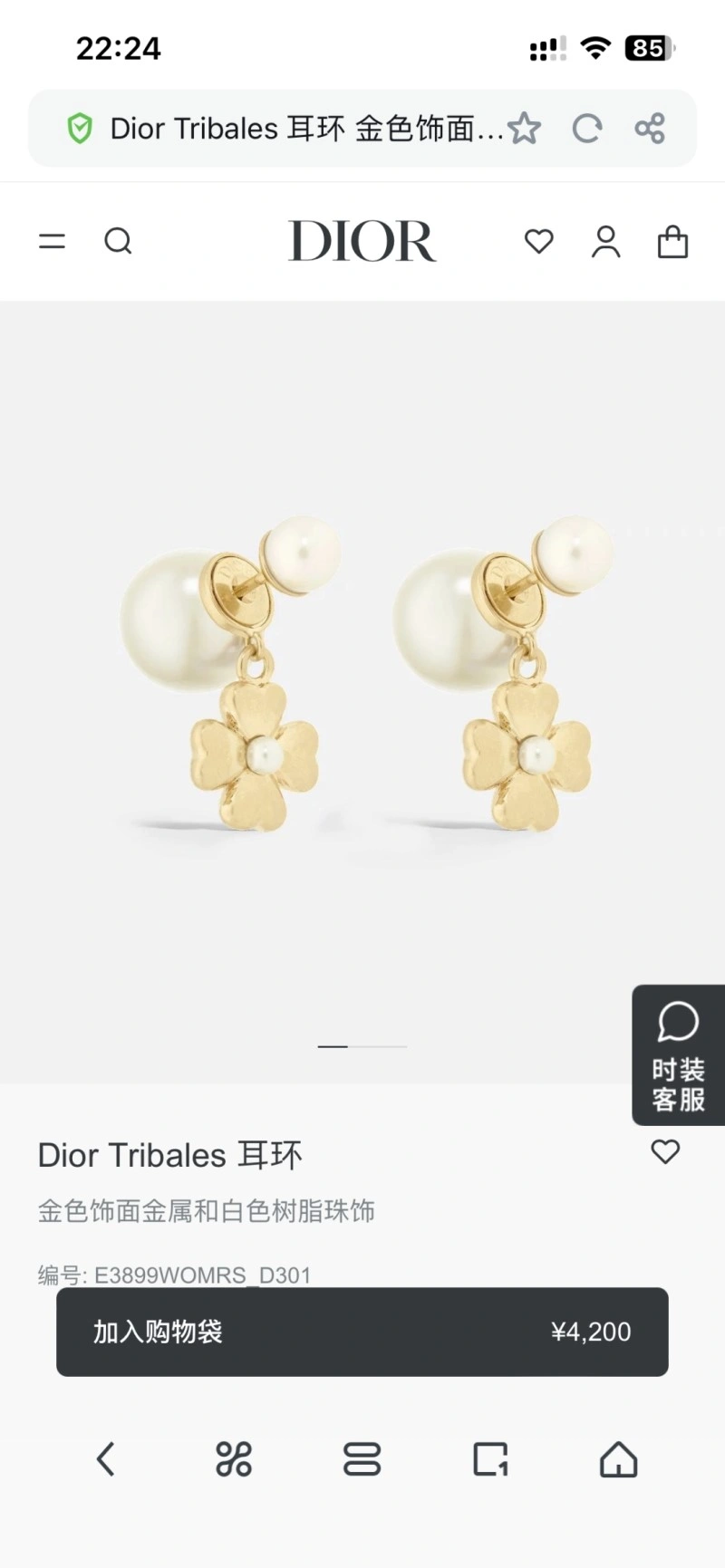 OnTrend Christian Dior Earrings 232633