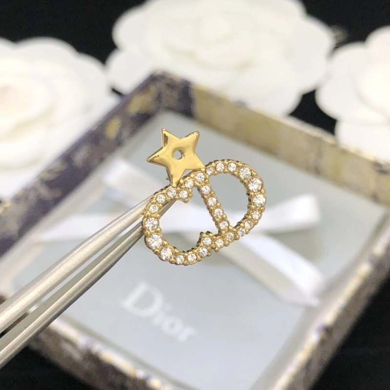 Elegant Christian Dior Earrings 232690