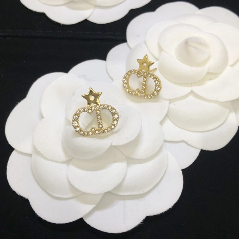 Elegant Christian Dior Earrings 232690