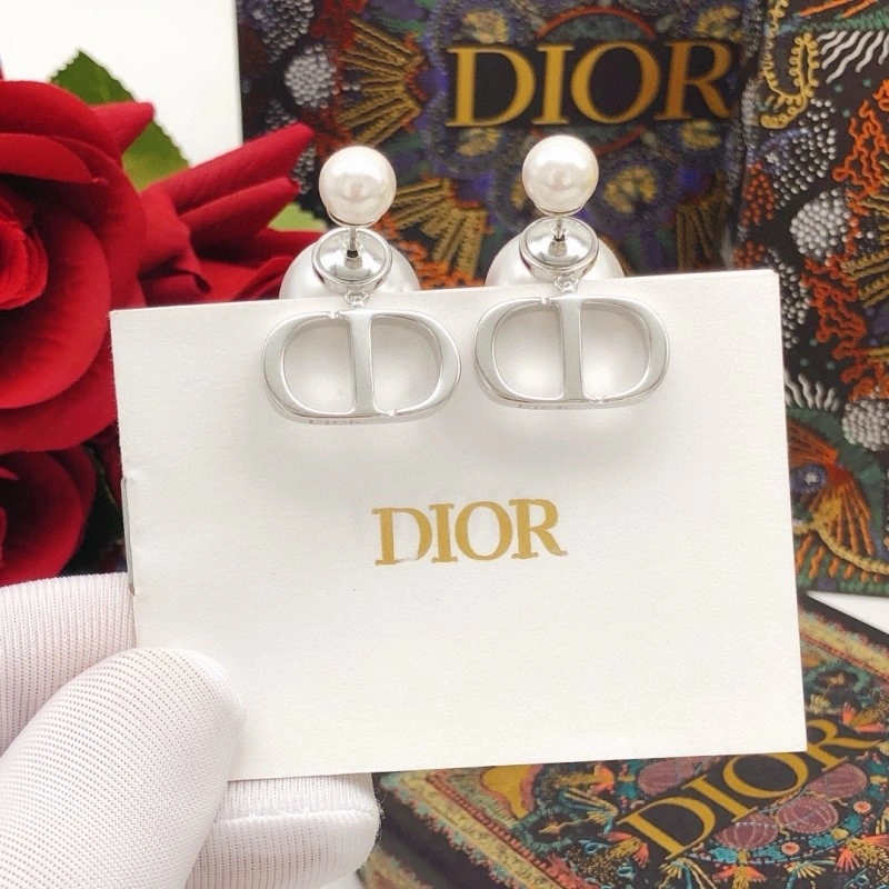 Refined Christian Dior Earrings 232593