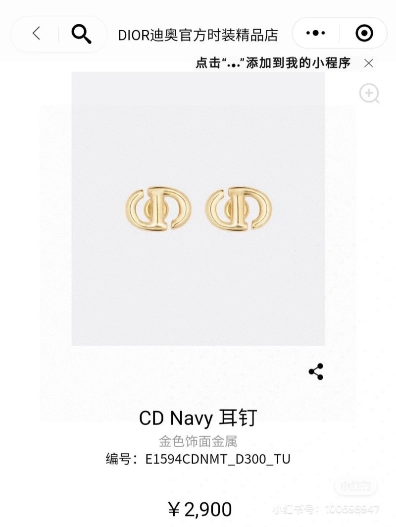 Christian Dior Earrings TravelReady 232607