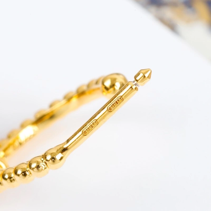 RelaxedFit Christian Dior Earrings 232588