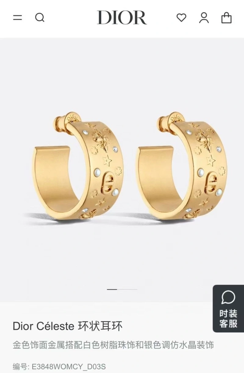 Christian Dior Earrings Sustainable 232634