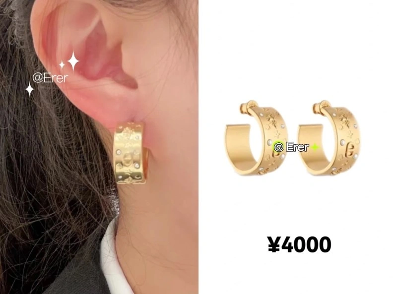 Christian Dior Earrings Sustainable 232634