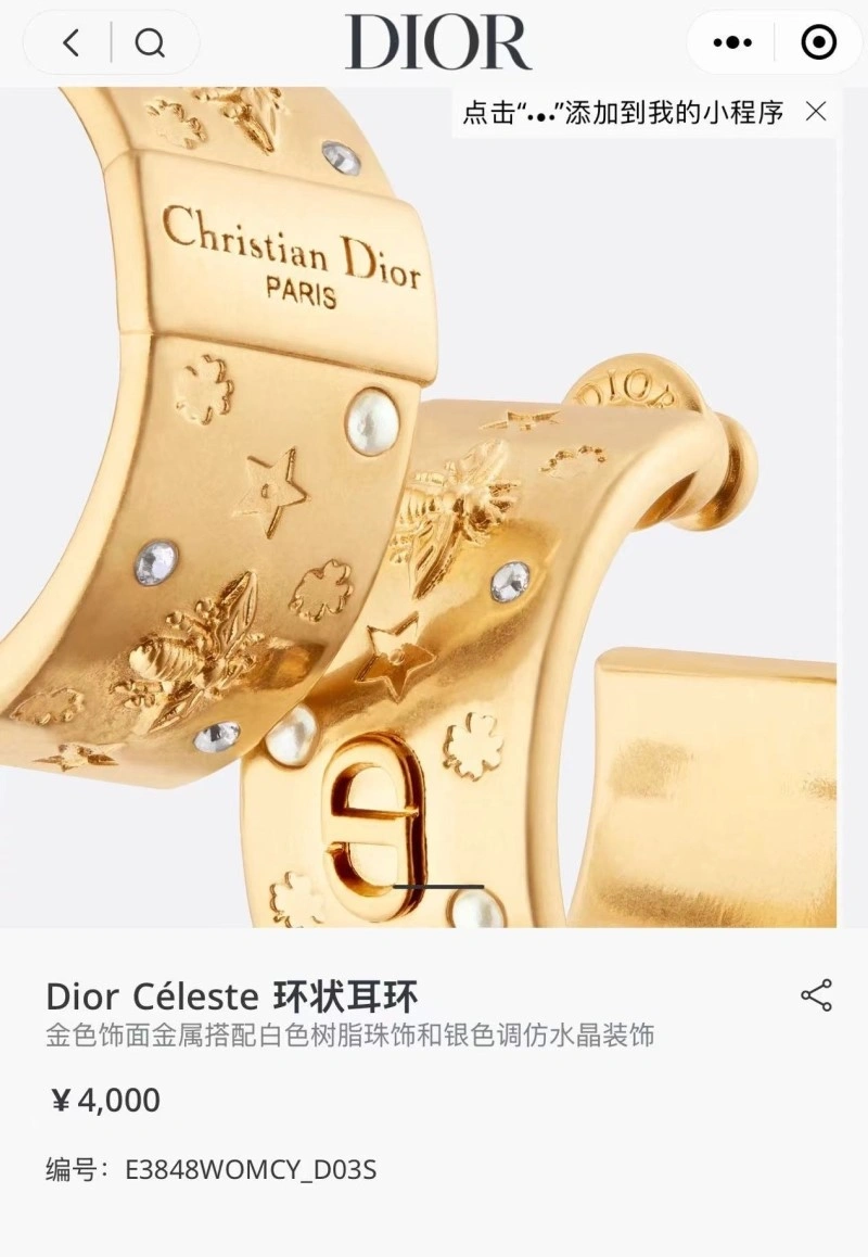 Christian Dior Earrings Sustainable 232634