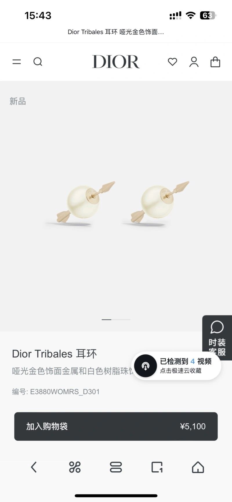 Durable Christian Dior Earrings 232594