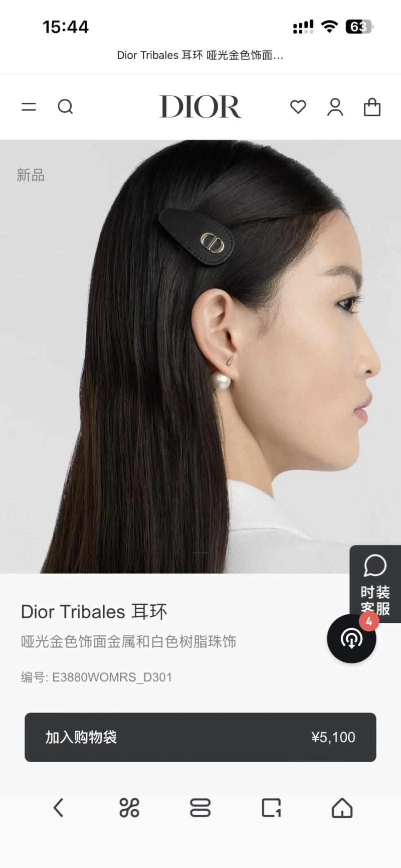 Durable Christian Dior Earrings 232594