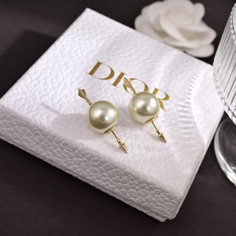 Durable Christian Dior Earrings 232594