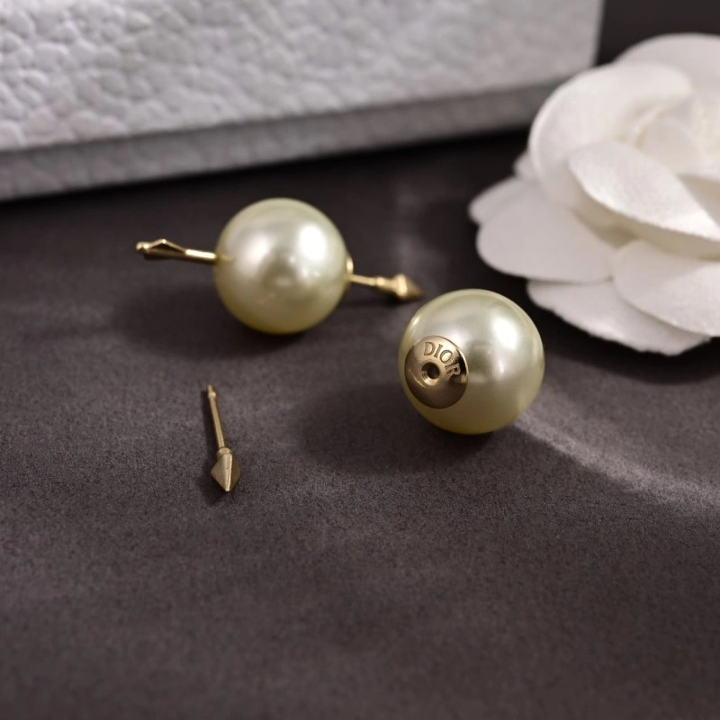 Durable Christian Dior Earrings 232594