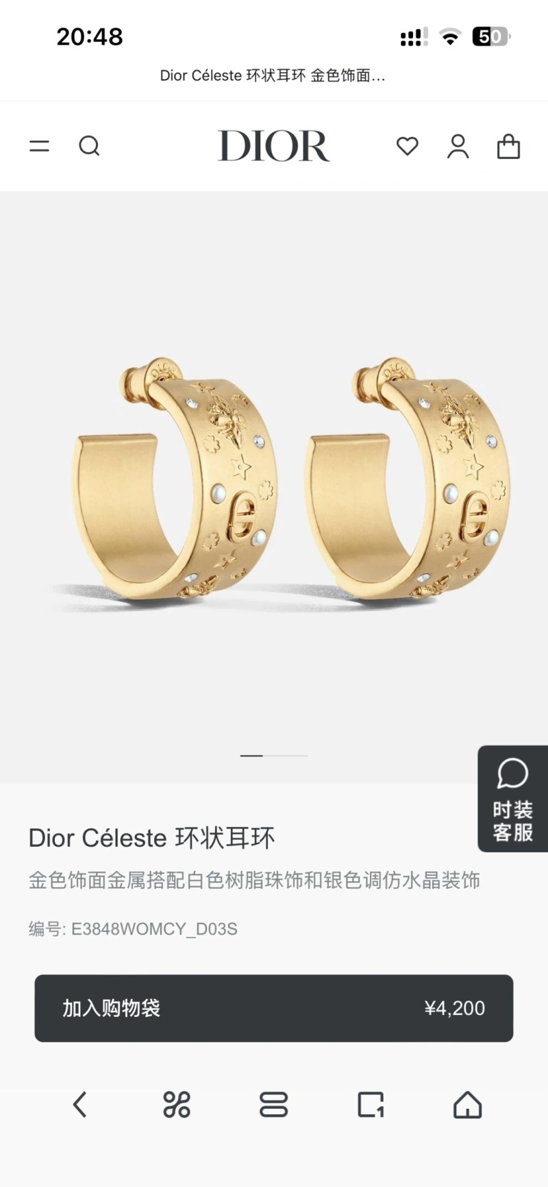 Christian Dior Earrings ModernLook 232580