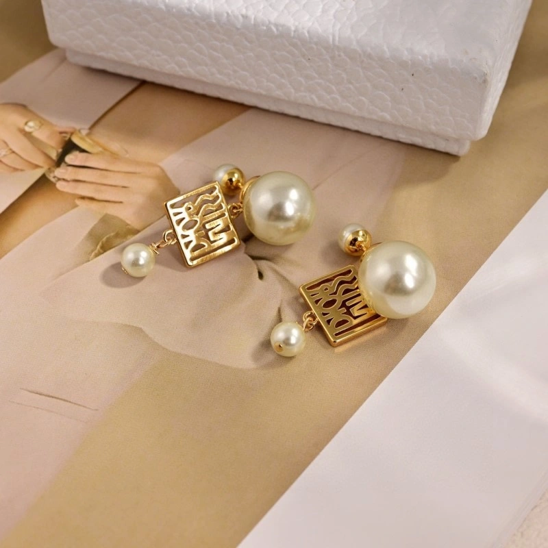 Colorful Christian Dior Earrings 232584