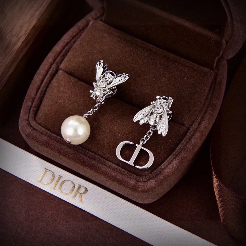 Functional Christian Dior Earrings 232639