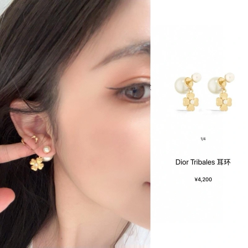 Flexible Christian Dior Earrings 232571