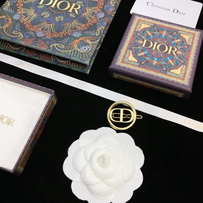 Christian Dior Hairpins Minimalist 234843