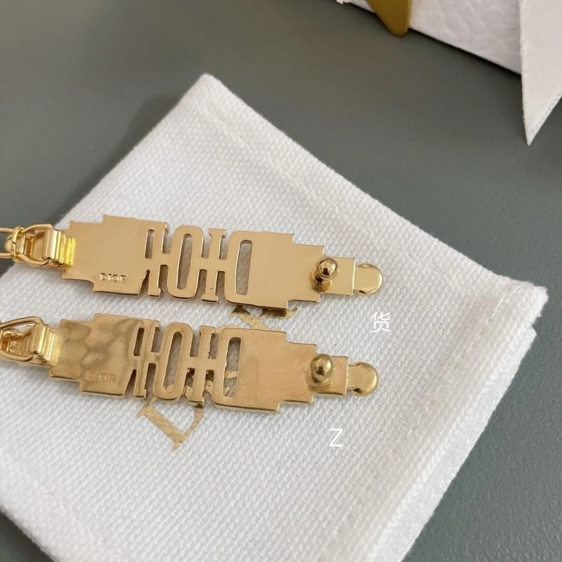 Bright Christian Dior Hairpins 233089