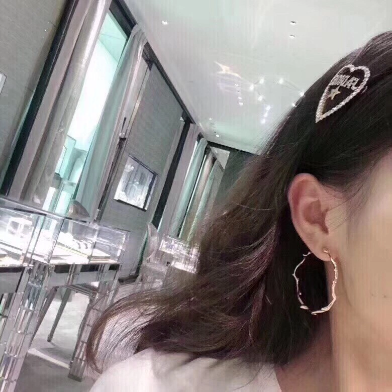 GoAnywhere Christian Dior Hairpins 232569