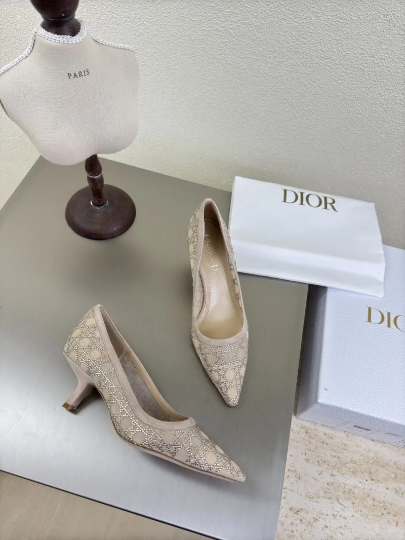 Christian Dior Heeled Shoes EasyCare 21612