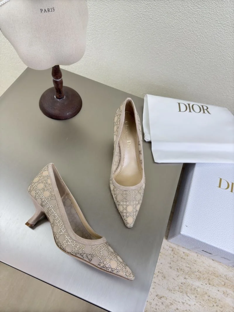 Christian Dior Heeled Shoes EasyCare 21612