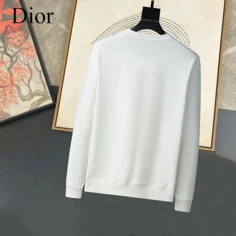 Durable Christian Dior Hoodies 114739