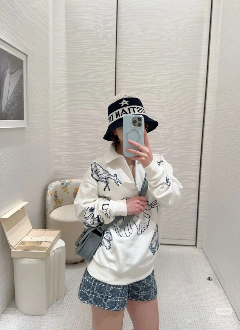 Comfortable Christian Dior Hoodies 117598
